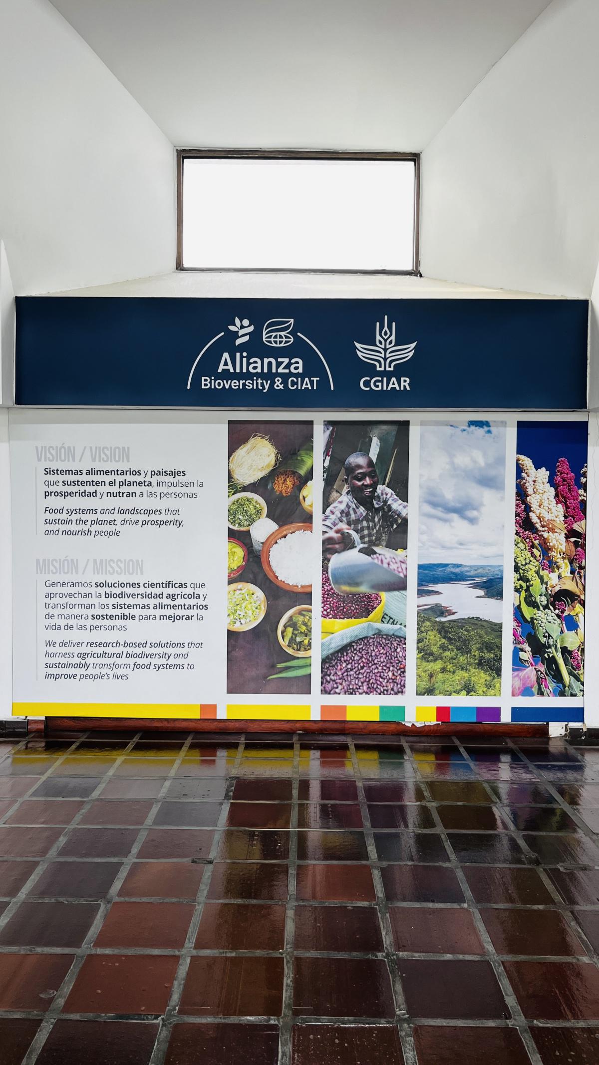 Compañía Nacional de Chocolates, aliado del Proyecto Clima LoCa del CIAT Compañía Nacional de Chocolates, aliado del Proyecto Clima LoCa del CIAT