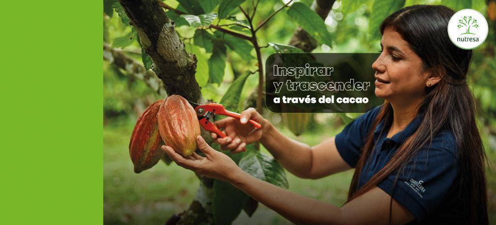 Cordillera: Marca con propósito en el sector cacaotero Cordillera: Marca con propósito en el sector cacaotero