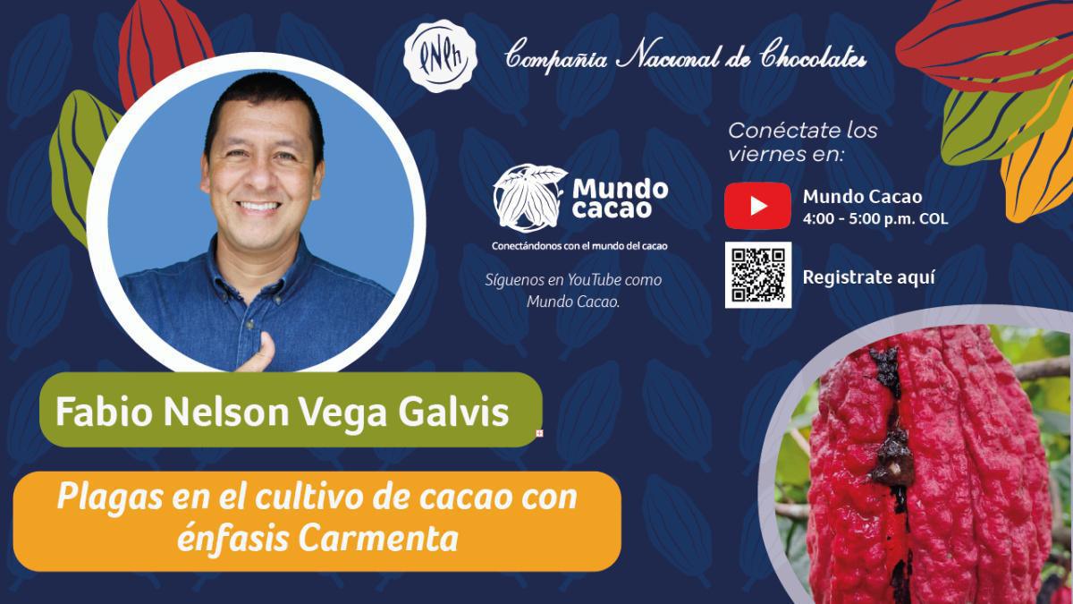 Charla virtual: Plagas en el cultivo de cacao con énfasis Carmenta Charla virtual: Plagas en el cultivo de cacao con énfasis Carmenta