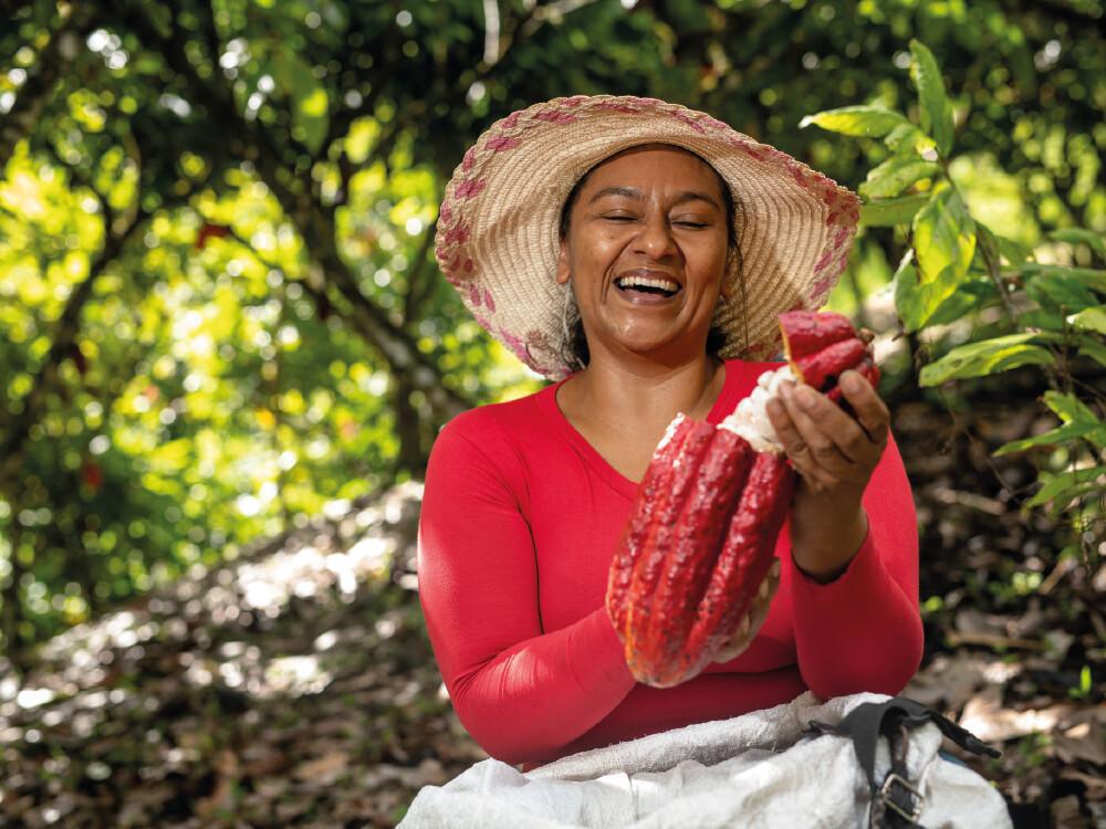 Cacao, un motor de desarrollo en las regiones: conozca el plan maestro que cambia vidas con el chocolate