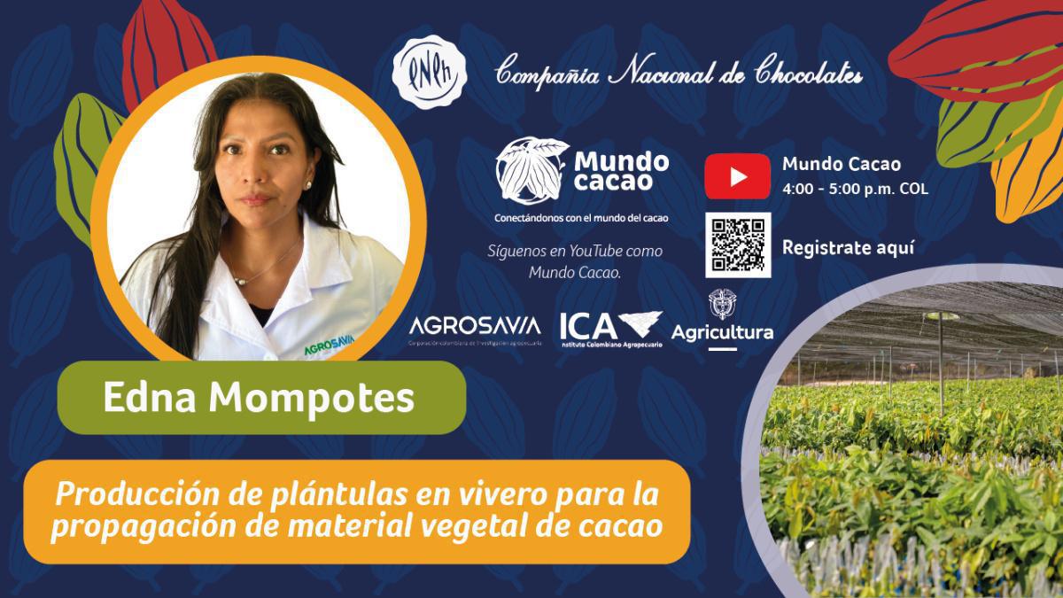 Charla virtual: Producción de plántulas en vivero para la propagación de material vegetal de cacao Charla virtual: Producción de plántulas en vivero para la propagación de material vegetal de cacao