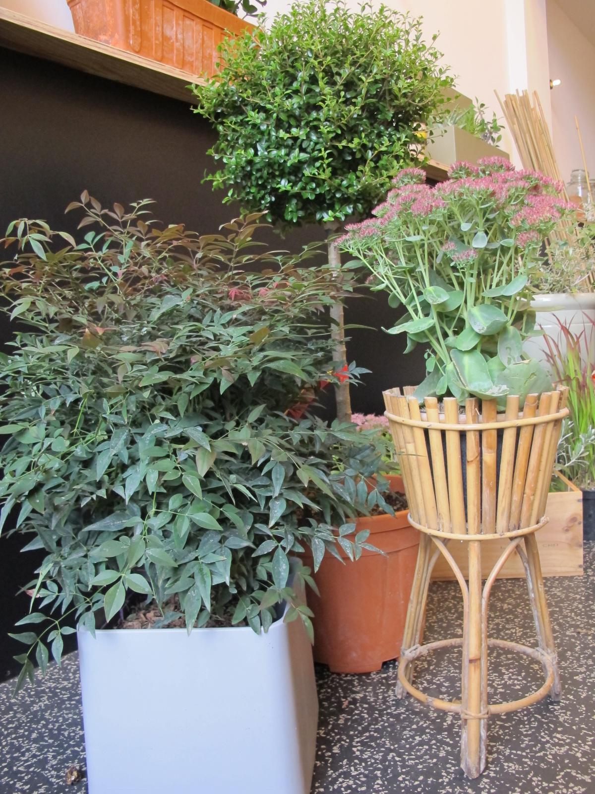 "Les Gertrude" rejoint l'association des commerçants de Monplaisir ! "Les Gertrude" rejoint l'association des commerçants de Monplaisir !