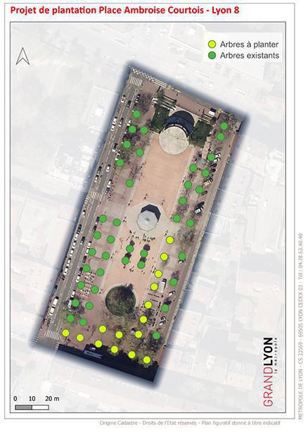 Des érables vont être replantés place Ambroise Courtois ! Des érables vont être replantés place Ambroise Courtois !