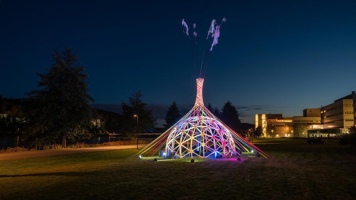 Fête des Lumières 2022 : les oeuvres lumineuses installées à Monplaisir : Fête des Lumières 2022 : les oeuvres lumineuses installées à Monplaisir :