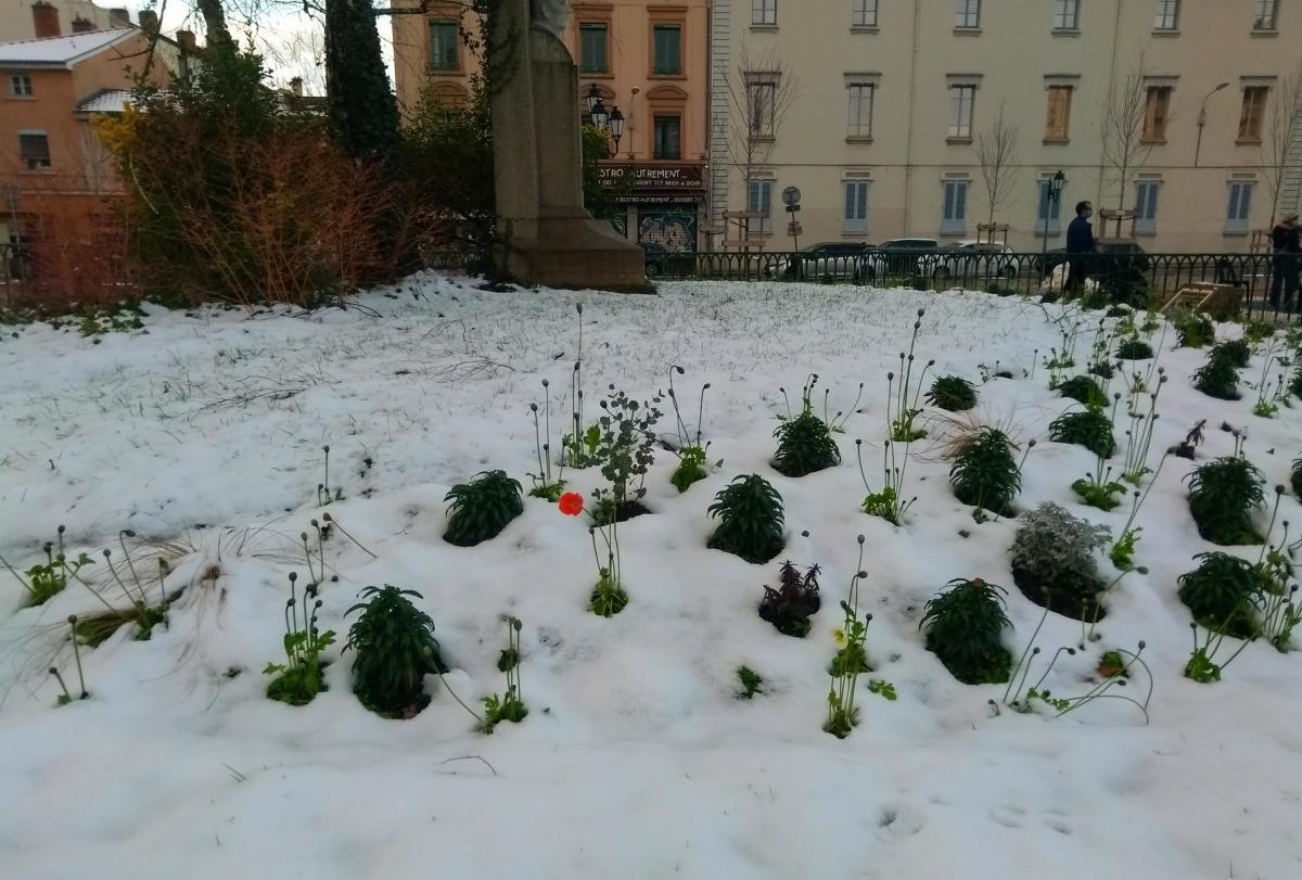 Place Ambroise Courtois sous la neige ❄️