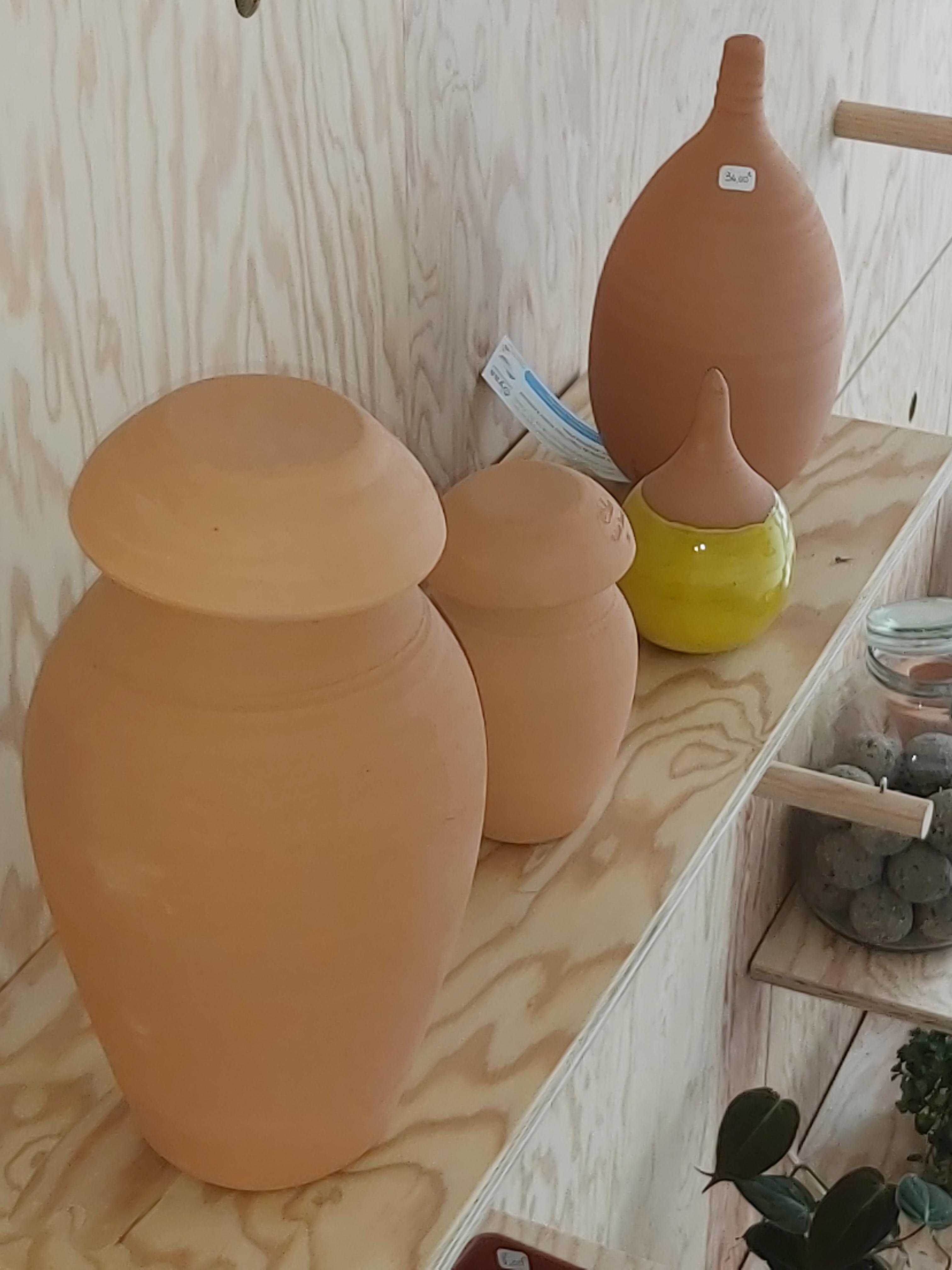 OYAS et OLLAS : un arrosage naturel ! ☀🪴
