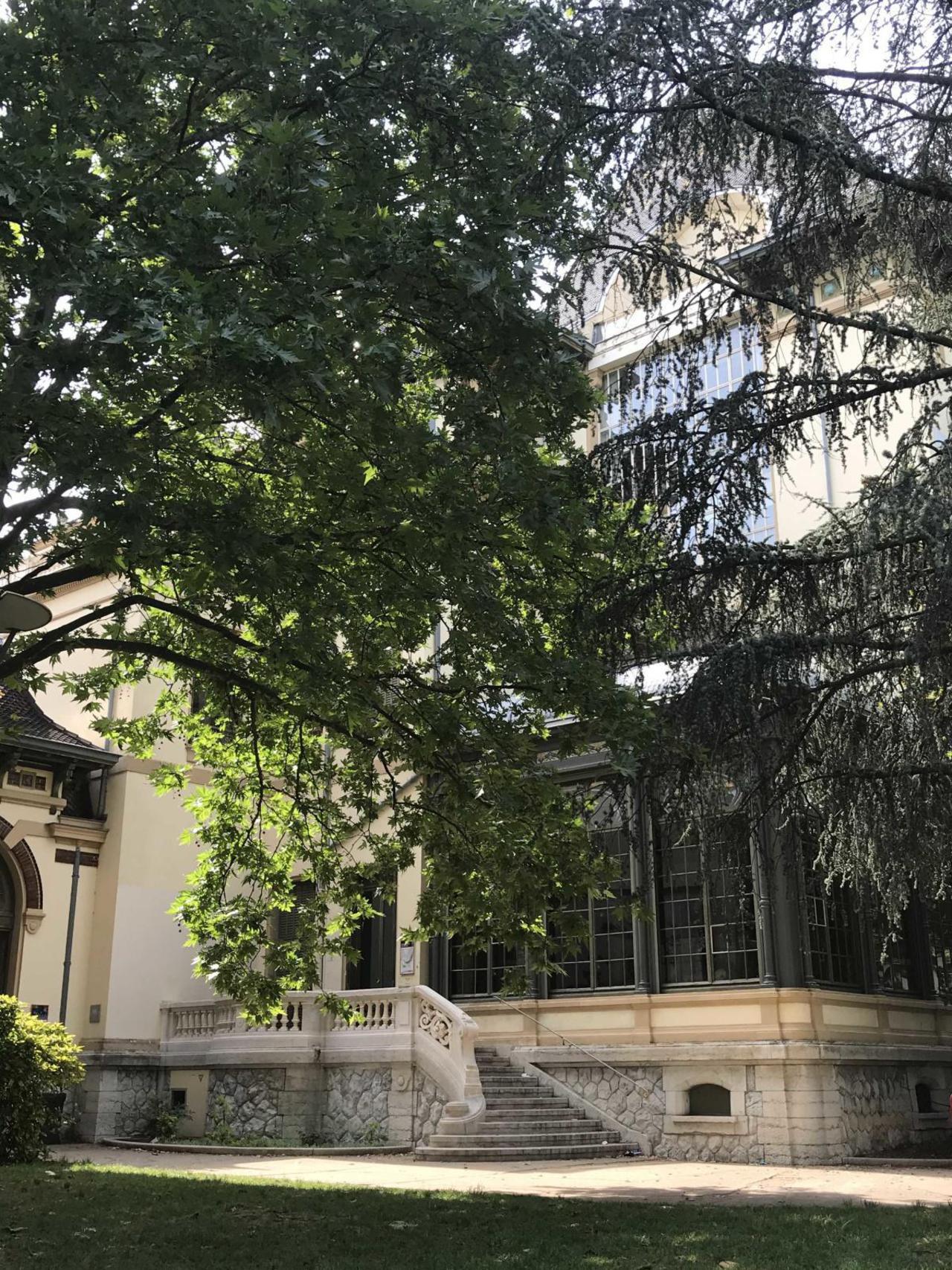 Jardin du Musée Lumière