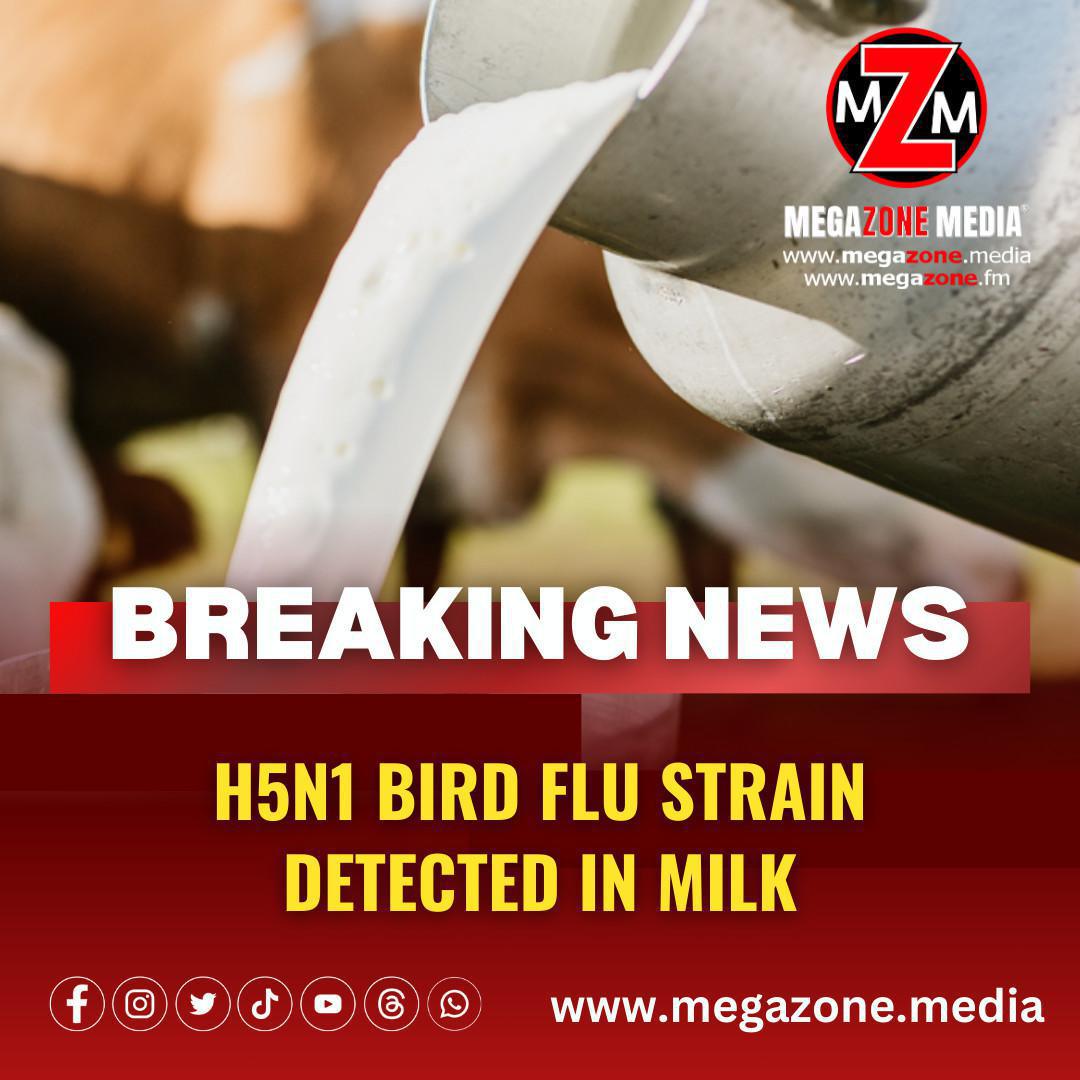 H5N1 Bird Flu Strain Detected in Milk.