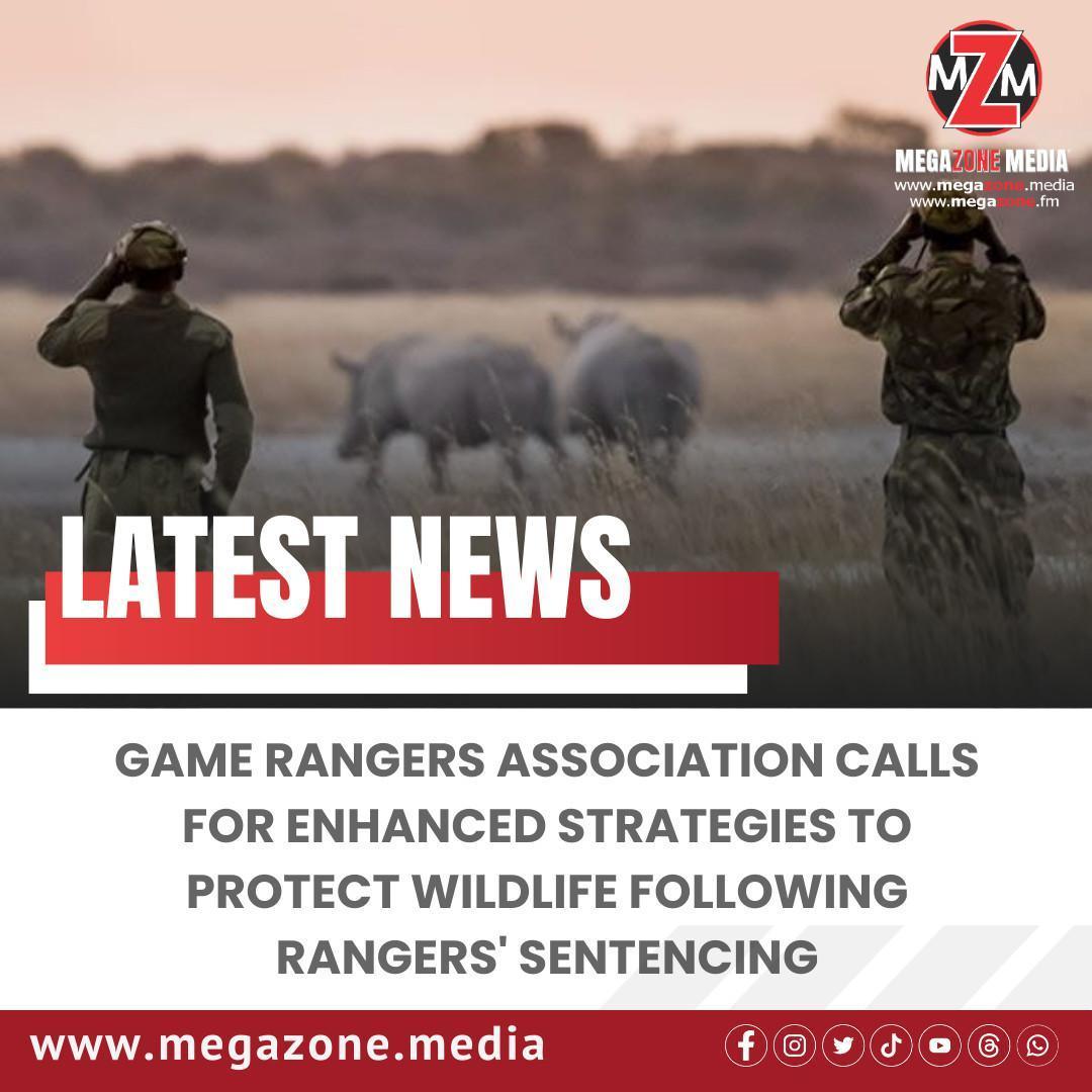 Game rangers association calls for enhanced strategies to protect ...