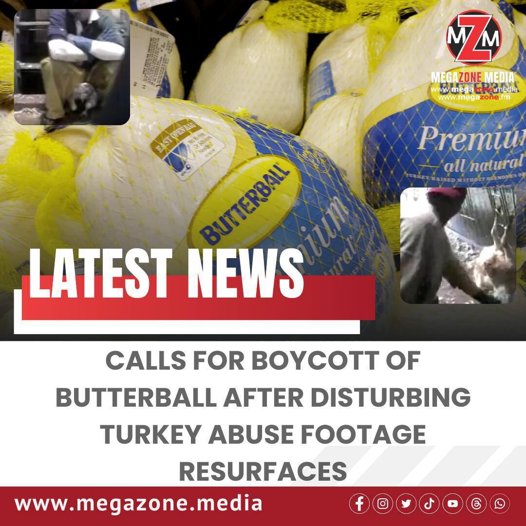 Calls for Boycott of Butterball After Disturbing Turkey Abuse Footage Resurfaces