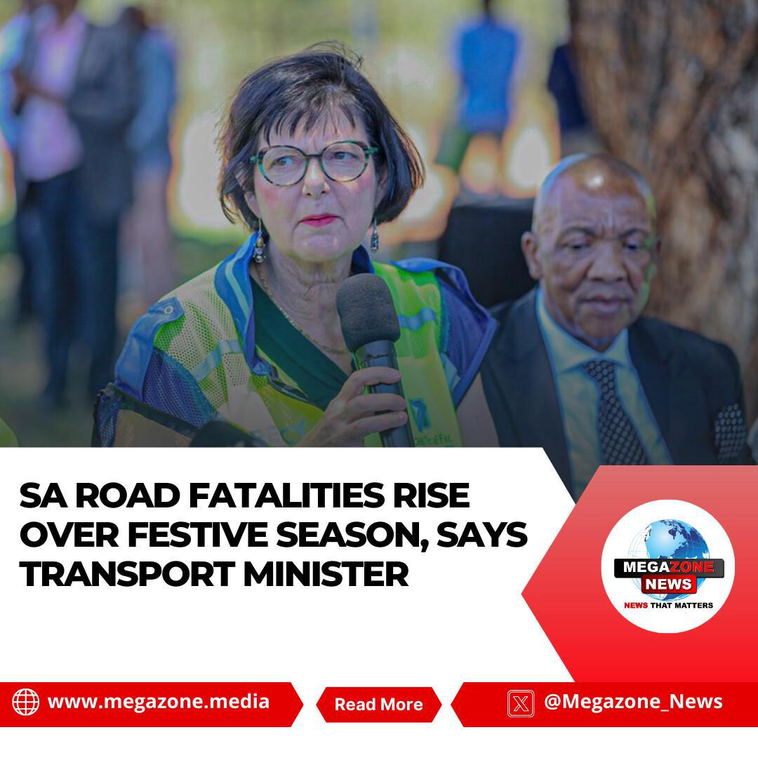 SA Road Fatalities Rise Over Festive Season, Says Transport Minister