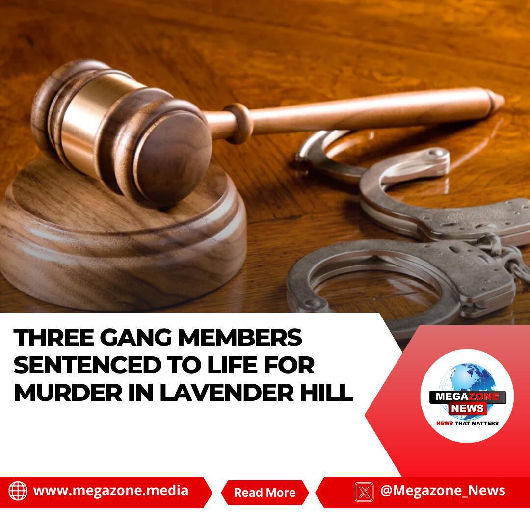 Three Gang Members Sentenced to Life for Murder in Lavender Hill