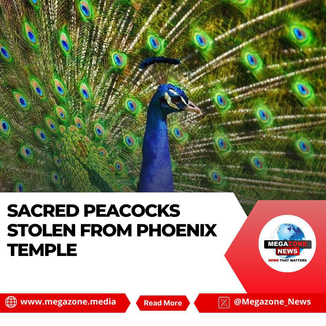 Sacred Peacocks Stolen from Shree Ganesha Temple in Phoenix