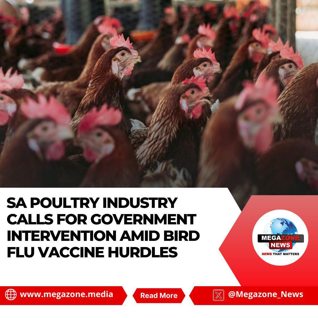 SA Poultry Industry Calls for Government Intervention Amid Bird Flu Vaccine Hurdles