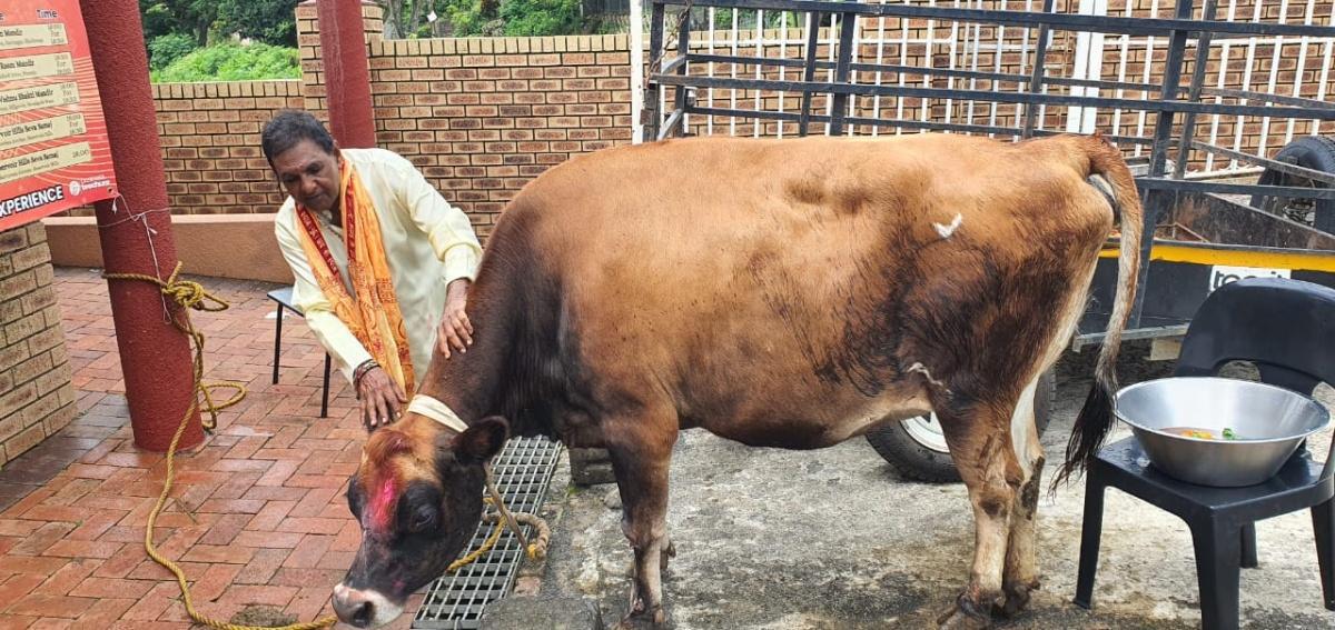 e-Megazoner 7th March 2025 e-Megazoner 7th March 2025