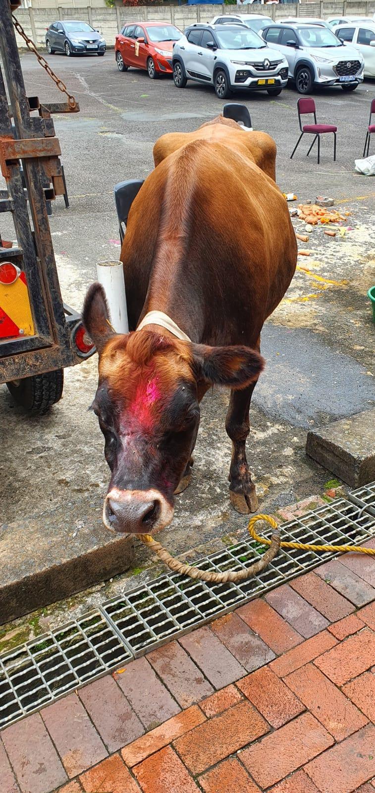 e-Megazoner 7th March 2025 e-Megazoner 7th March 2025