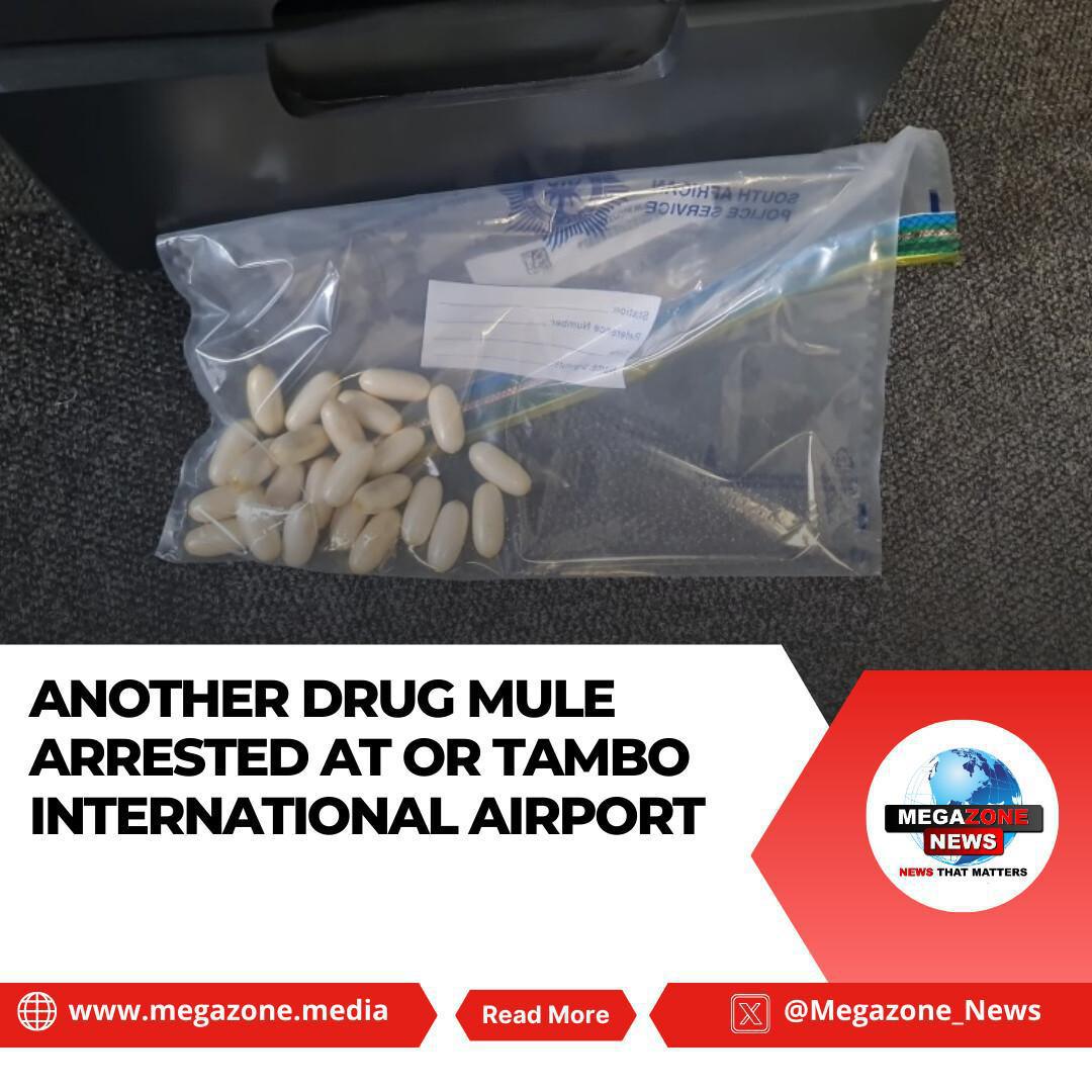 Another Drug Mule Arrested at OR Tambo International Airport