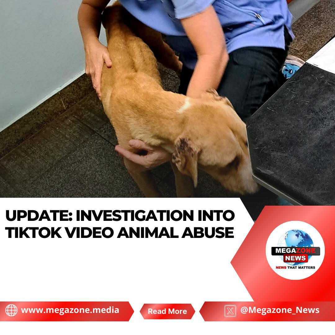 UPDATE: Investigation Into TikTok Video Animal Abuse