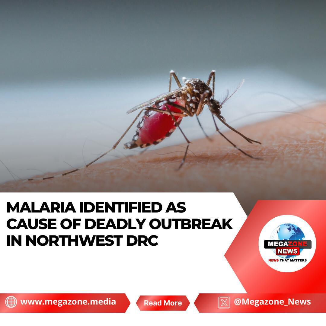 Malaria Identified as Cause of Deadly Outbreak in Northwest DRC