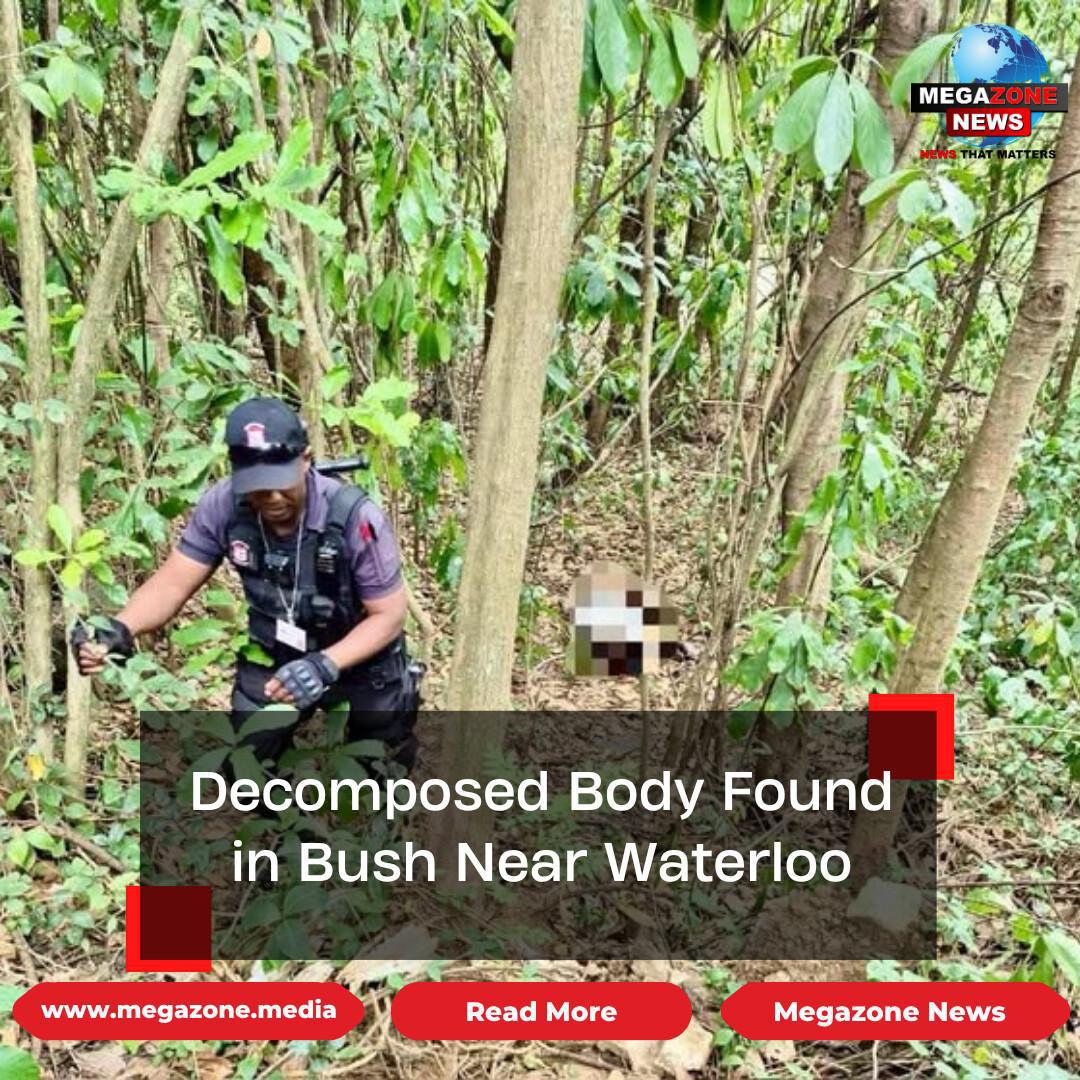 Decomposed Body Found in Bush Near Waterloo
