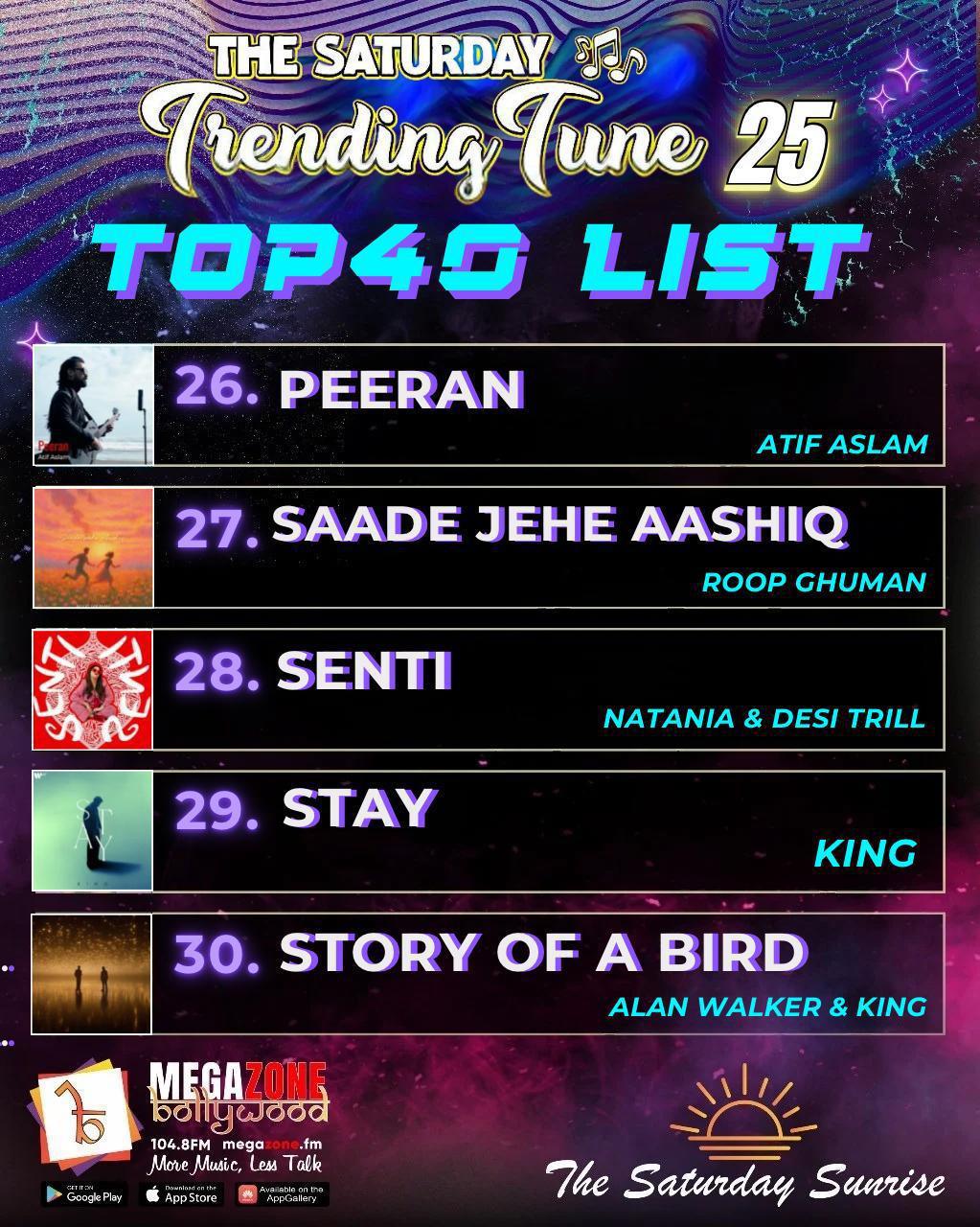 e-Megazoner 14th November 2025