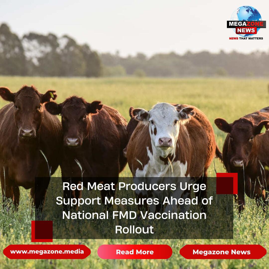 Red Meat Producers Urge Support Measures Ahead of National FMD Vaccination Rollout