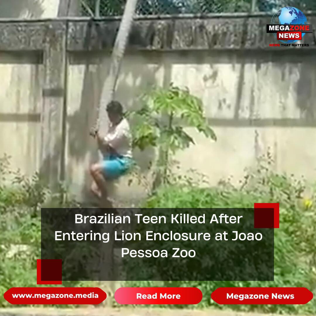 Brazilian Teen Killed After Entering Lion Enclosure at Joao Pessoa Zoo Brazilian Teen Killed After Entering Lion Enclosure at Joao Pessoa Zoo
