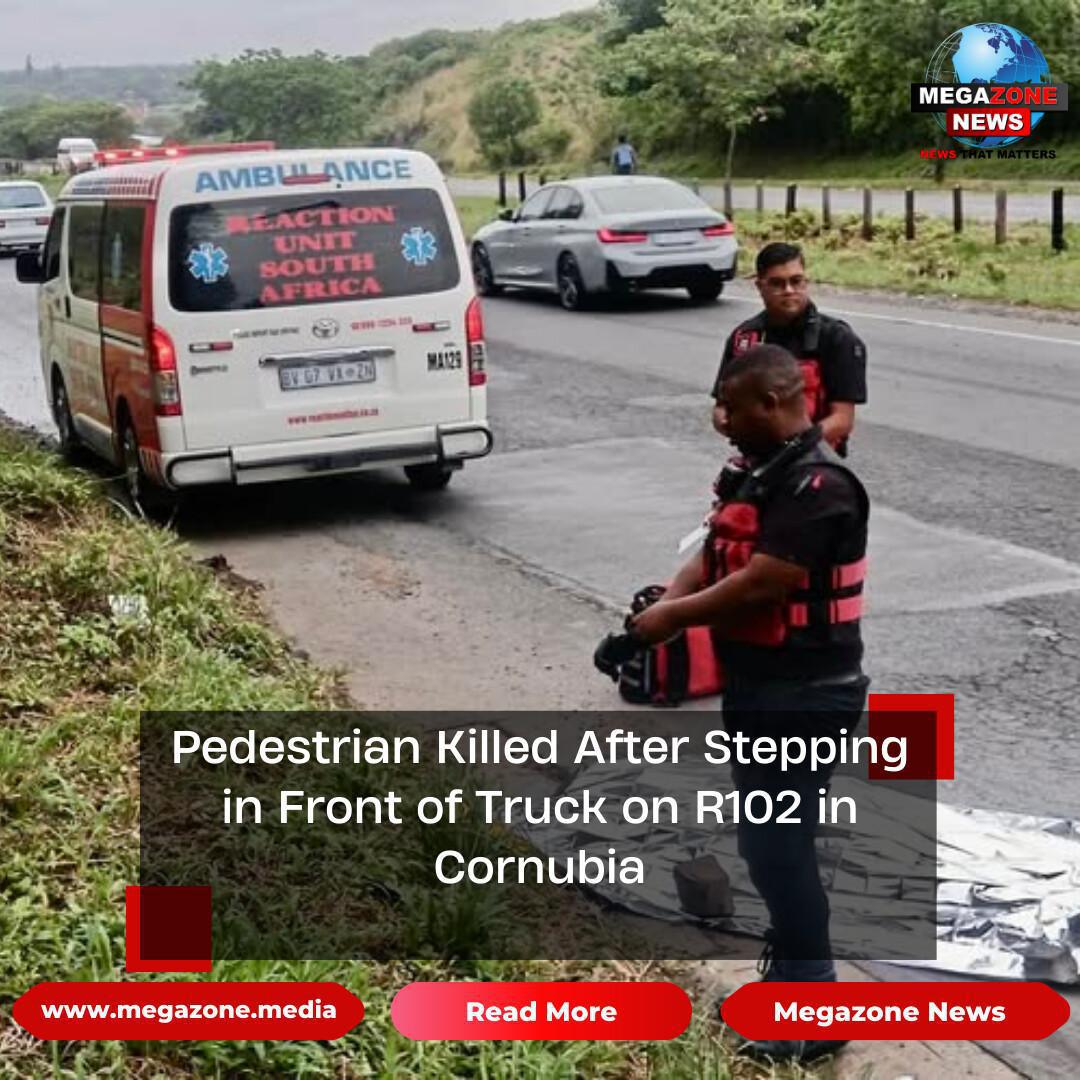 Pedestrian Killed After Stepping in Front of Truck on R102 in Cornubia