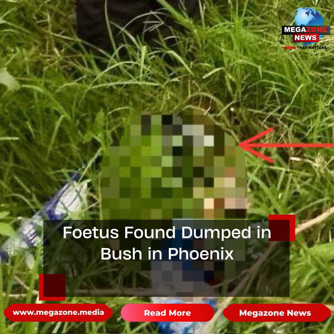 Foetus Found Dumped in Bush in Phoenix