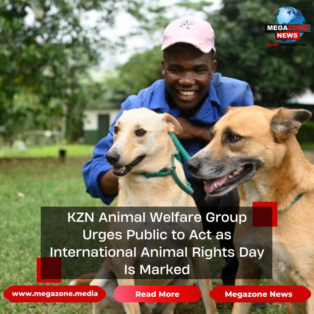 KZN Animal Welfare Group Urges Public to Act as International Animal Rights Day Is Marked