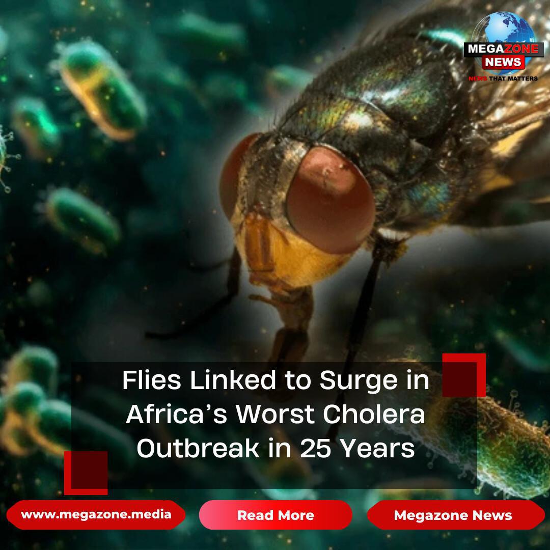 Flies Linked to Surge in Africa’s Worst Cholera Outbreak in 25 Years Flies Linked to Surge in Africa’s Worst Cholera Outbreak in 25 Years