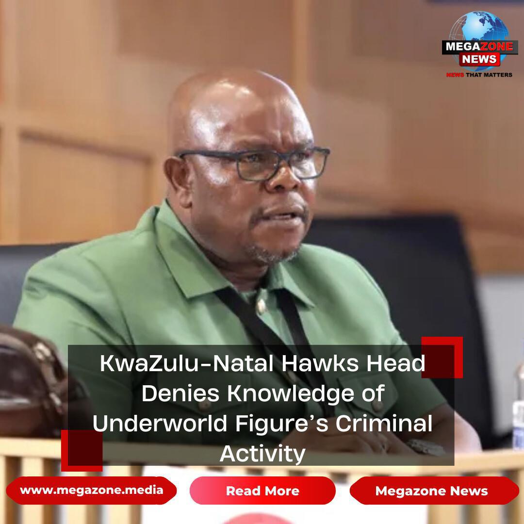 KwaZulu-Natal Hawks Head Denies Knowledge of Underworld Figure’s Criminal Activity KwaZulu-Natal Hawks Head Denies Knowledge of Underworld Figure’s Criminal Activity