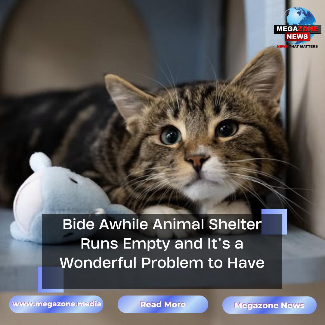 Bide Awhile Animal Shelter Runs Empty and It’s a Wonderful Problem to Have Bide Awhile Animal Shelter Runs Empty and It’s a Wonderful Problem to Have