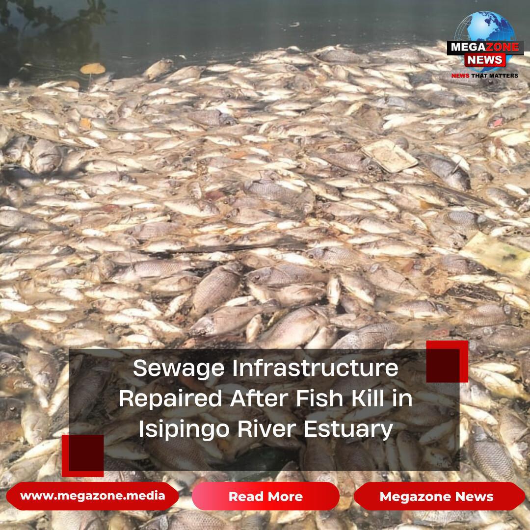 Sewage Infrastructure Repaired After Fish Kill in Isipingo River Estuary Sewage Infrastructure Repaired After Fish Kill in Isipingo River Estuary