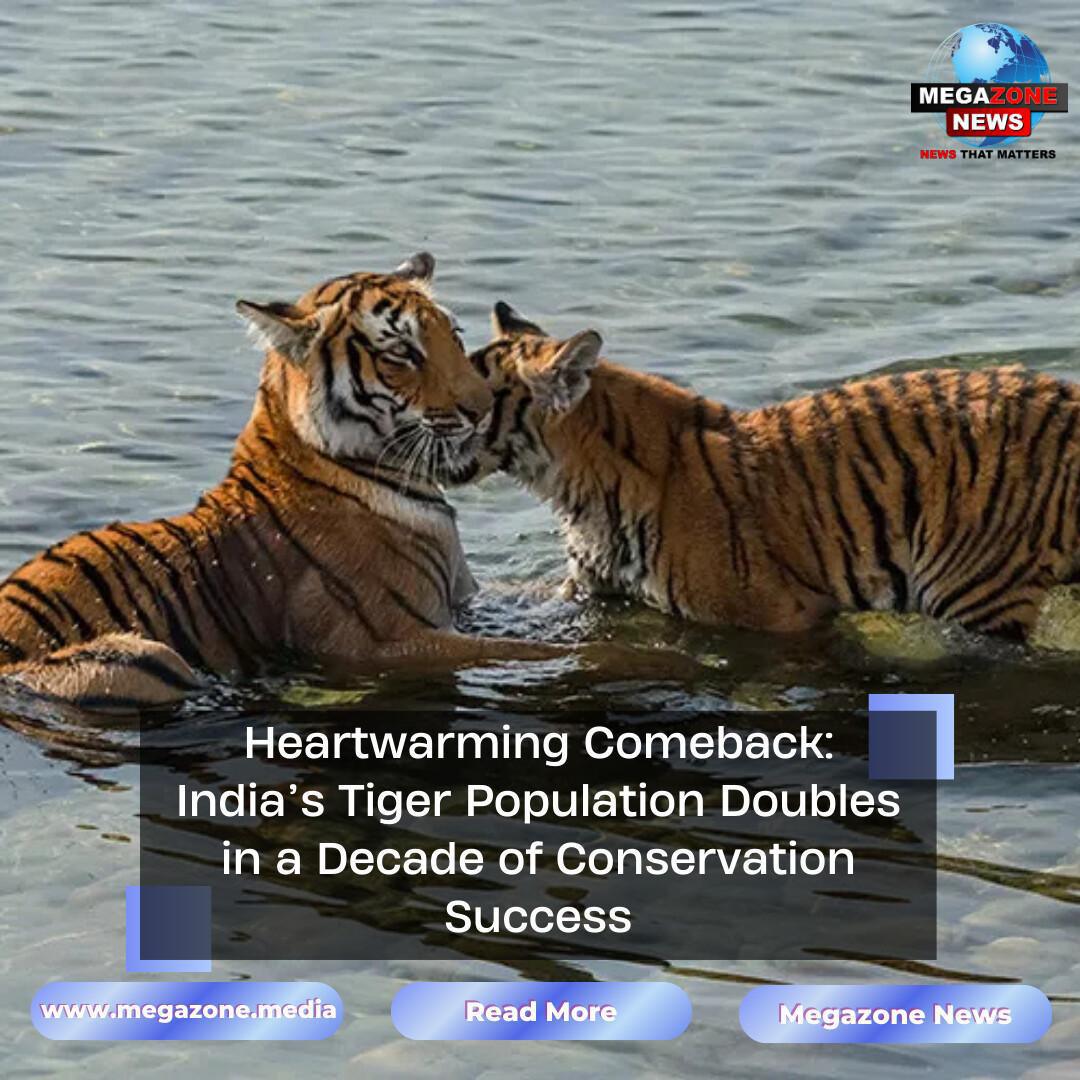 Heartwarming Comeback: India’s Tiger Population Doubles in a Decade of Conservation Success