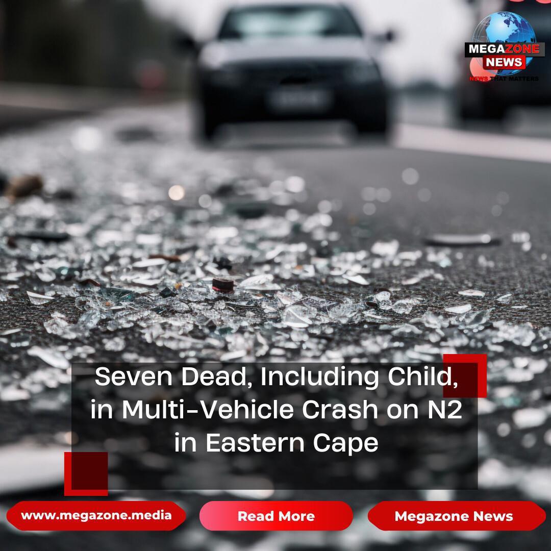 Seven Dead, Including Child, in Multi-Vehicle Crash on N2 in Eastern Cape Seven Dead, Including Child, in Multi-Vehicle Crash on N2 in Eastern Cape