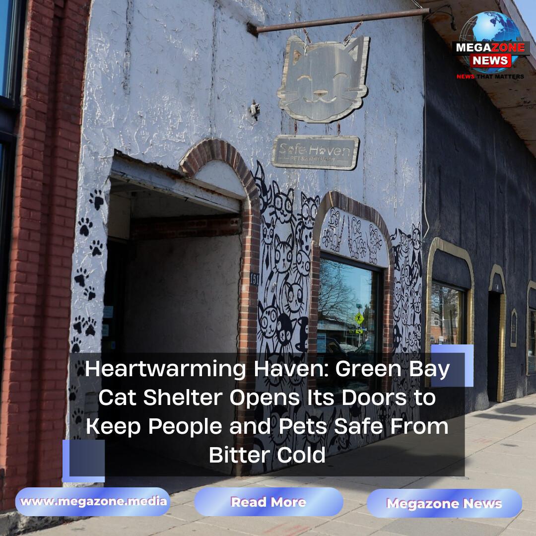 Heartwarming Haven: Green Bay Cat Shelter Opens Its Doors to Keep People and Pets Safe From Bitter Cold