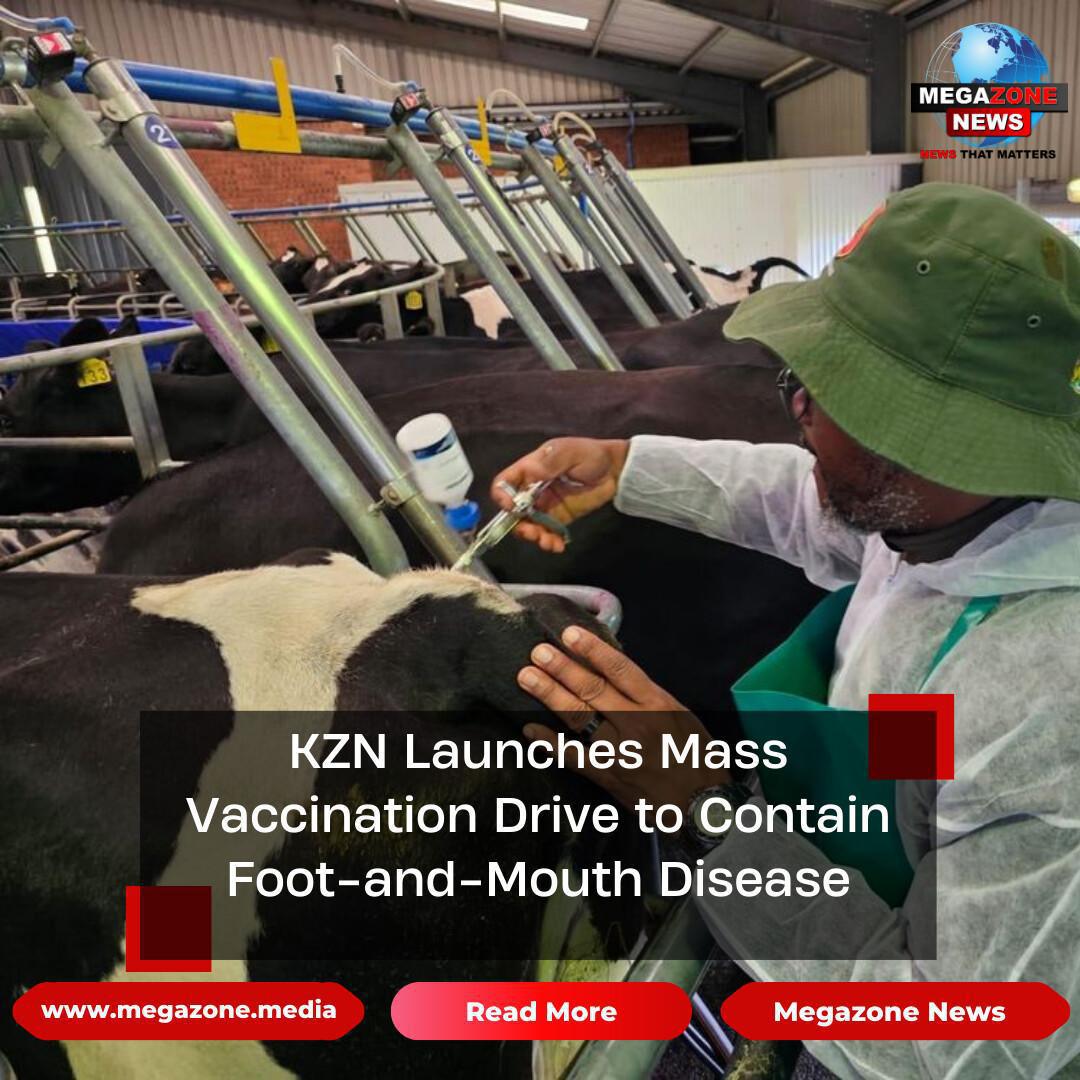 KZN Launches Mass Vaccination Drive to Contain Foot-and-Mouth Disease KZN Launches Mass Vaccination Drive to Contain Foot-and-Mouth Disease