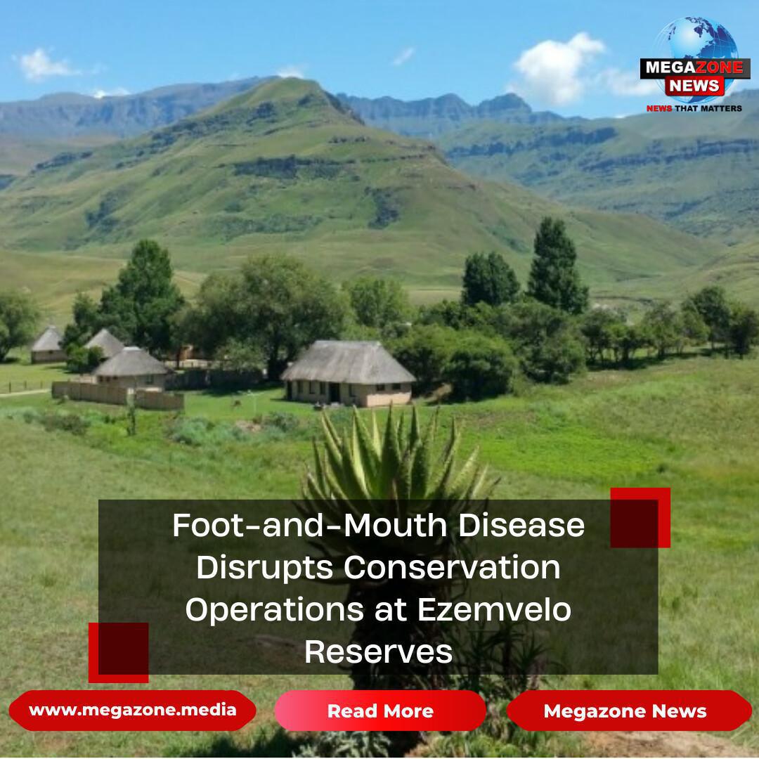 Foot-and-Mouth Disease Disrupts Conservation Operations at Ezemvelo Reserves