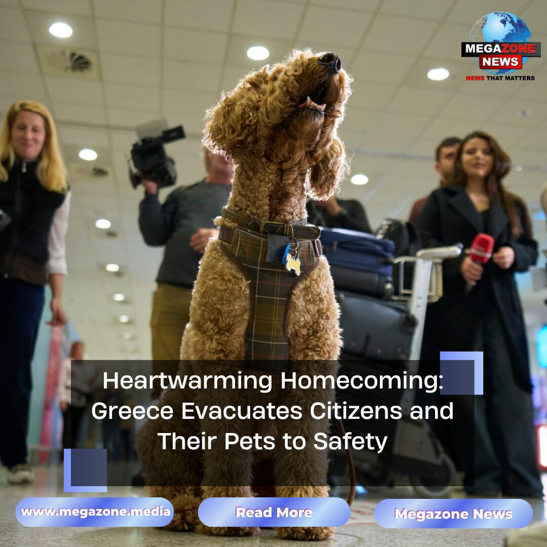 Heartwarming Homecoming: Greece Evacuates Citizens and Their Pets to Safety Heartwarming Homecoming: Greece Evacuates Citizens and Their Pets to Safety
