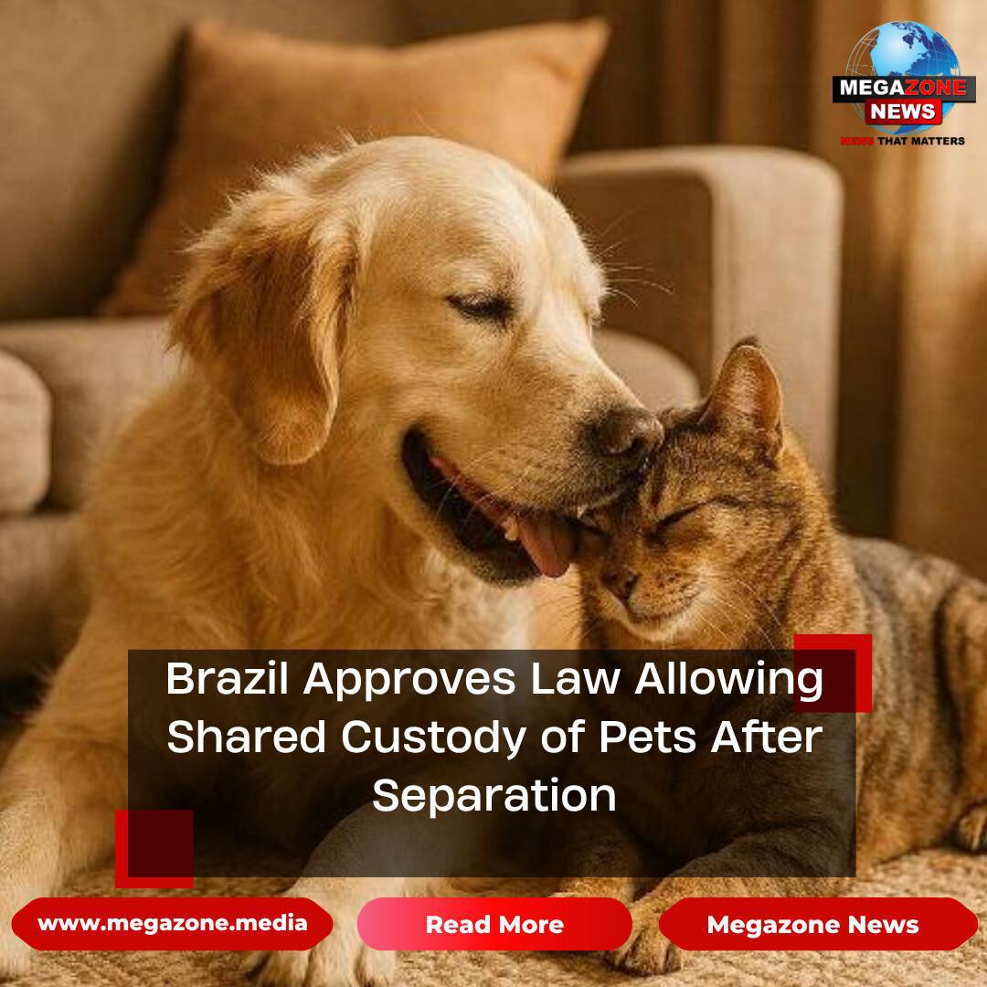 Brazil Approves Law Allowing Shared Custody of Pets After Separation