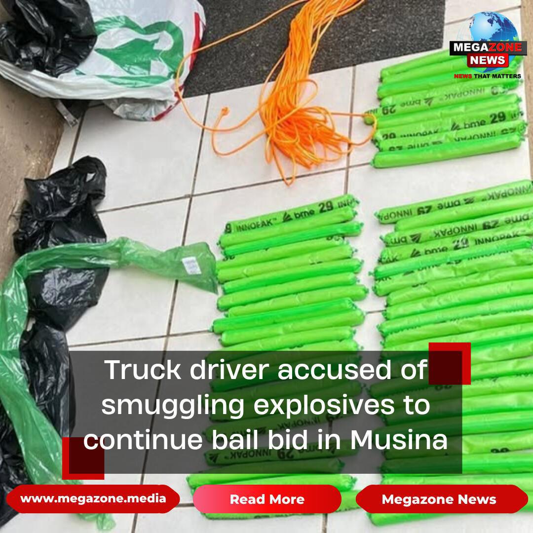 Truck driver accused of smuggling explosives to continue bail bid in Musina Truck driver accused of smuggling explosives to continue bail bid in Musina