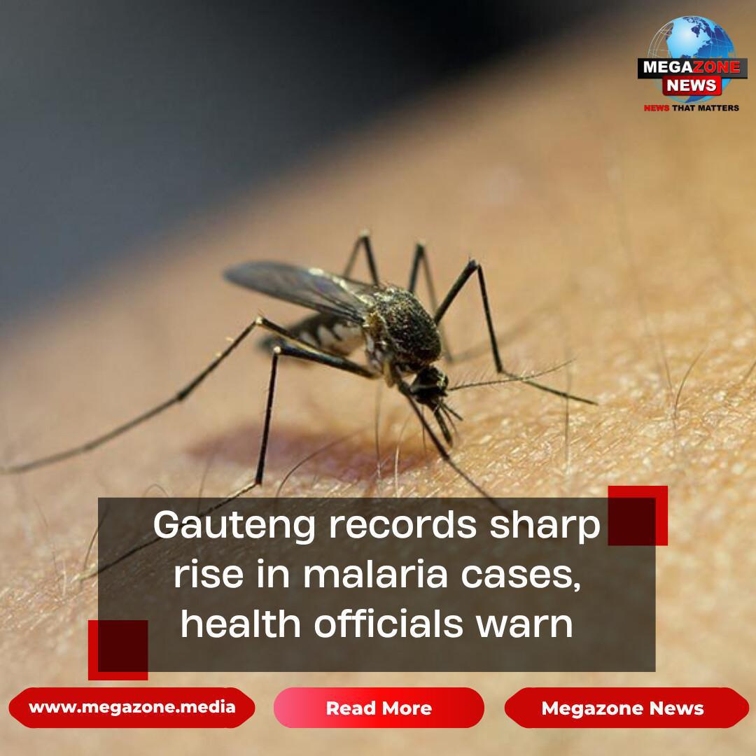 Gauteng records sharp rise in malaria cases, health officials warn