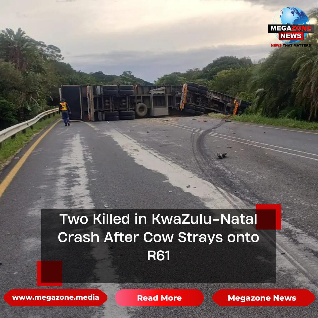 Two Killed in KwaZulu-Natal Crash After Cow Strays onto R61
