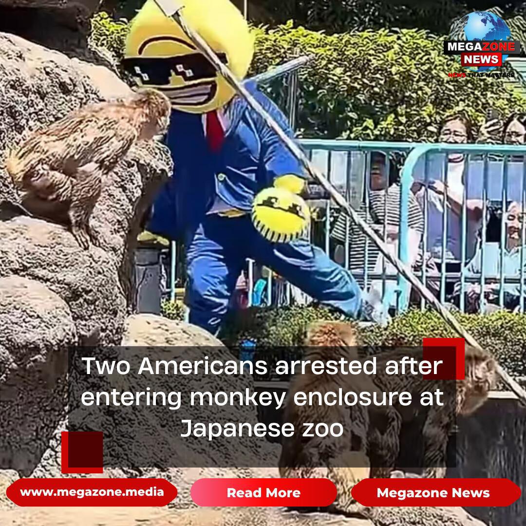 Two Americans arrested after entering monkey enclosure at Japanese zoo