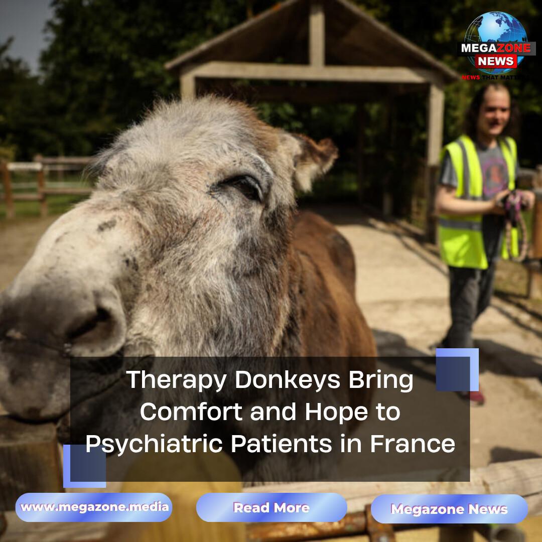 Therapy Donkeys Bring Comfort and Hope to Psychiatric Patients in France