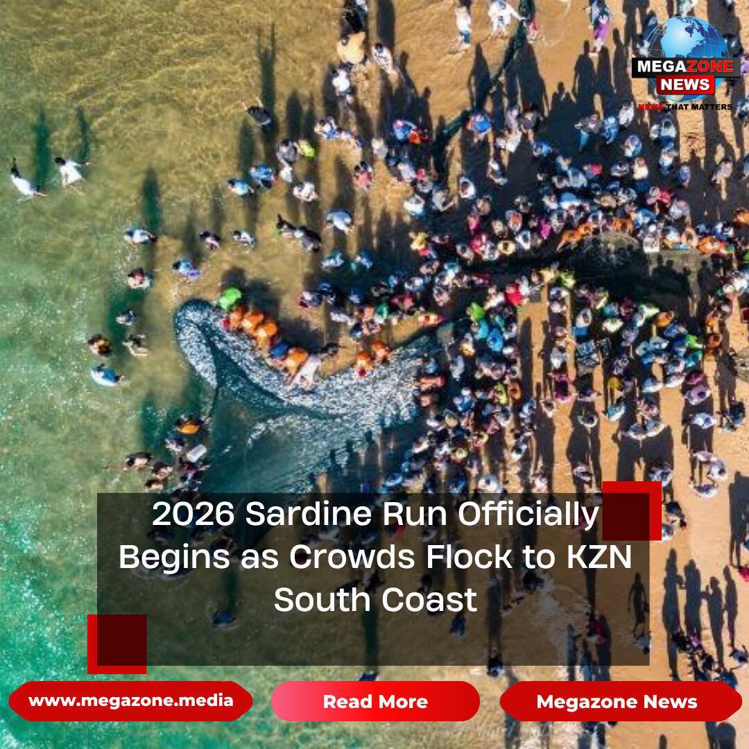2026 Sardine Run Officially Begins as Crowds Flock to KZN South Coast 2026 Sardine Run Officially Begins as Crowds Flock to KZN South Coast