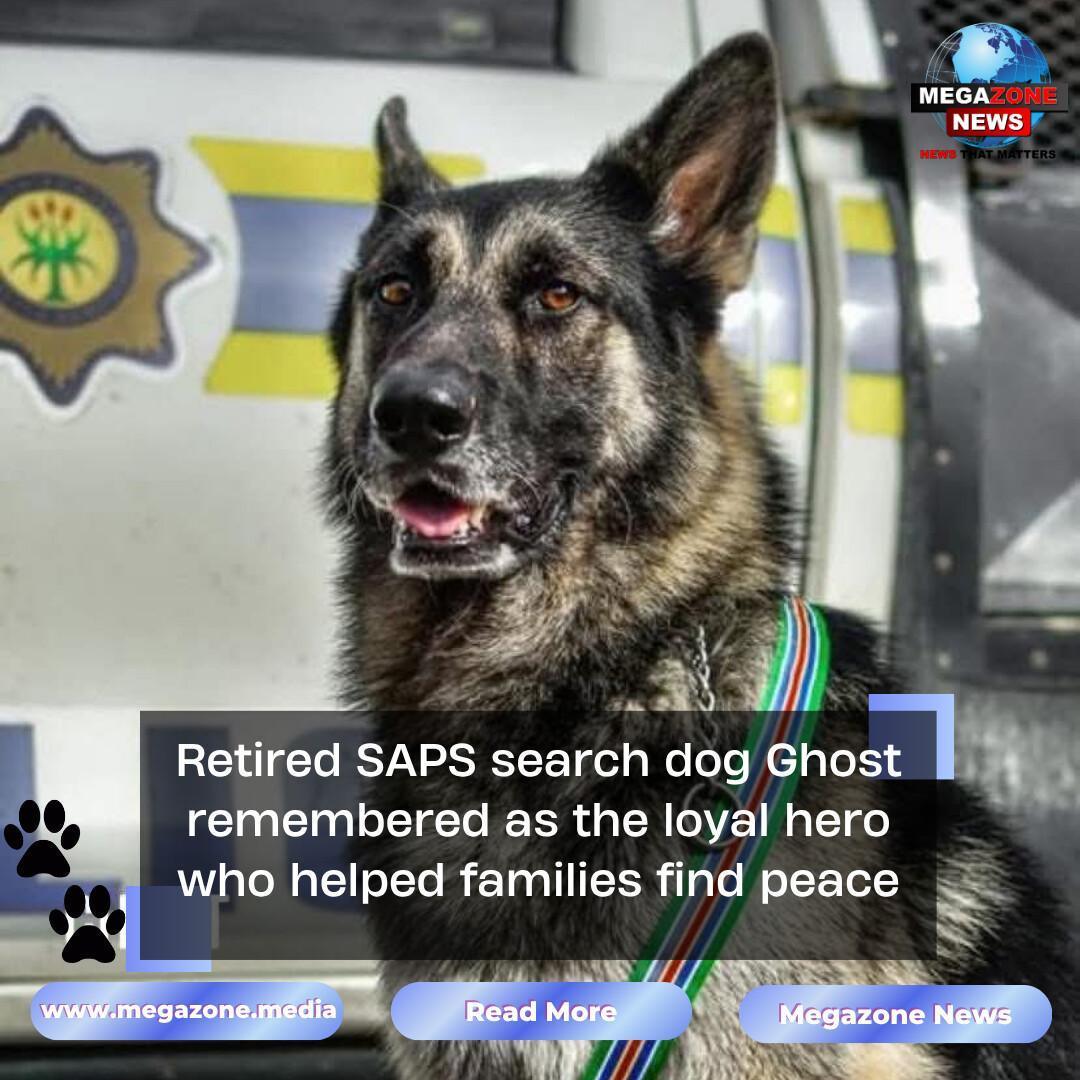 Retired SAPS search dog Ghost remembered as the loyal hero who helped families find peace Retired SAPS search dog Ghost remembered as the loyal hero who helped families find peace