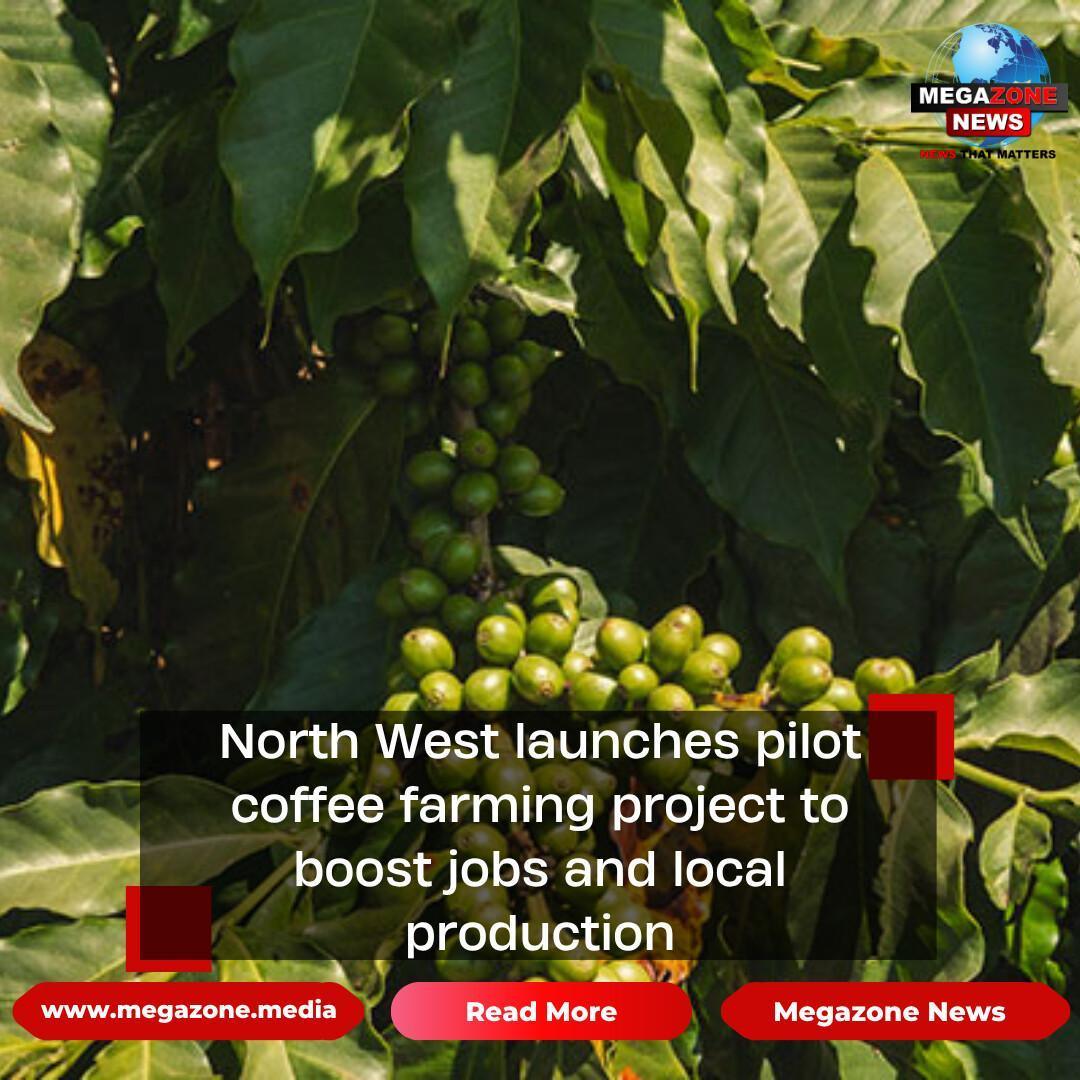 North West launches pilot coffee farming project to boost jobs and local production