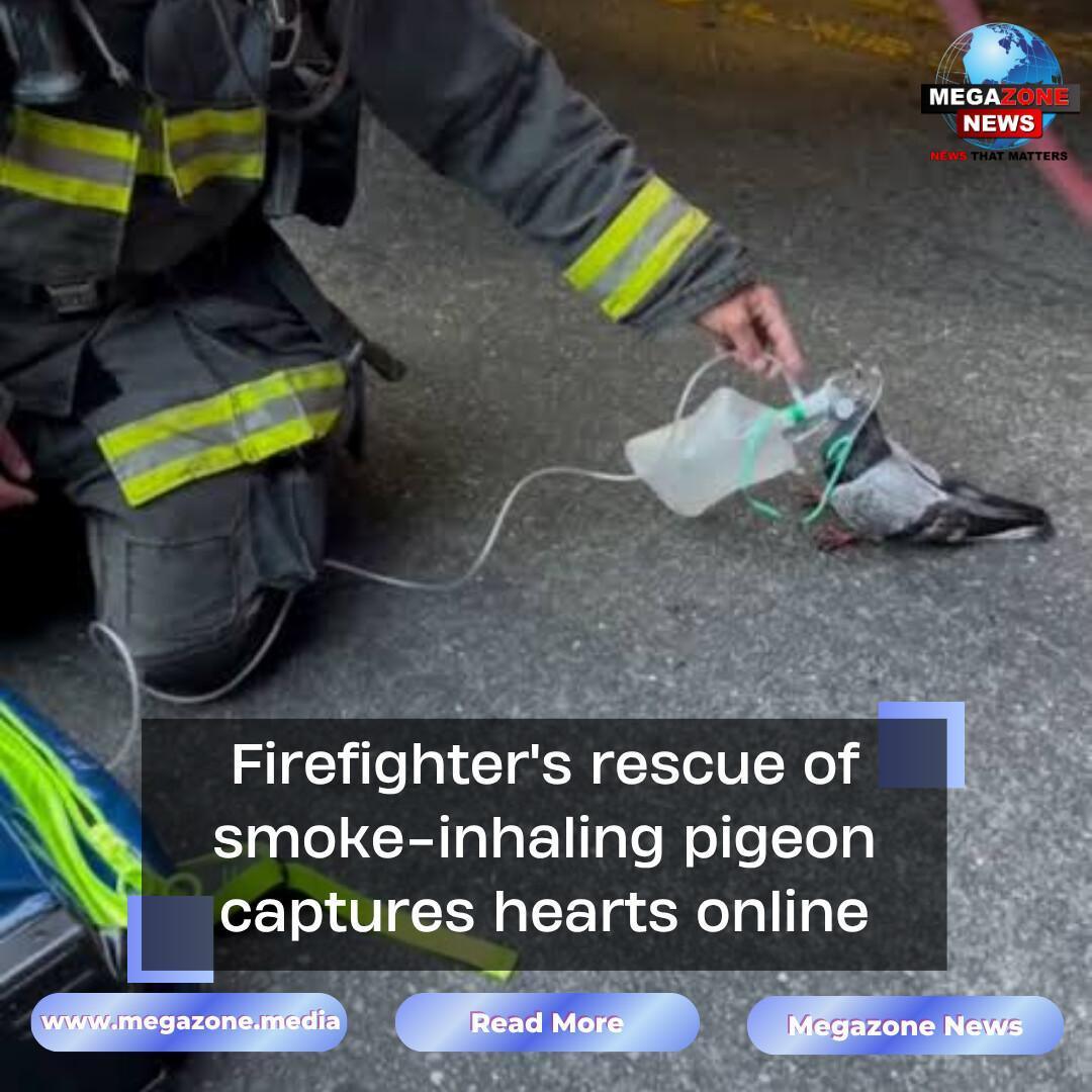 Firefighter's rescue of smoke-inhaling pigeon captures hearts online Firefighter's rescue of smoke-inhaling pigeon captures hearts online